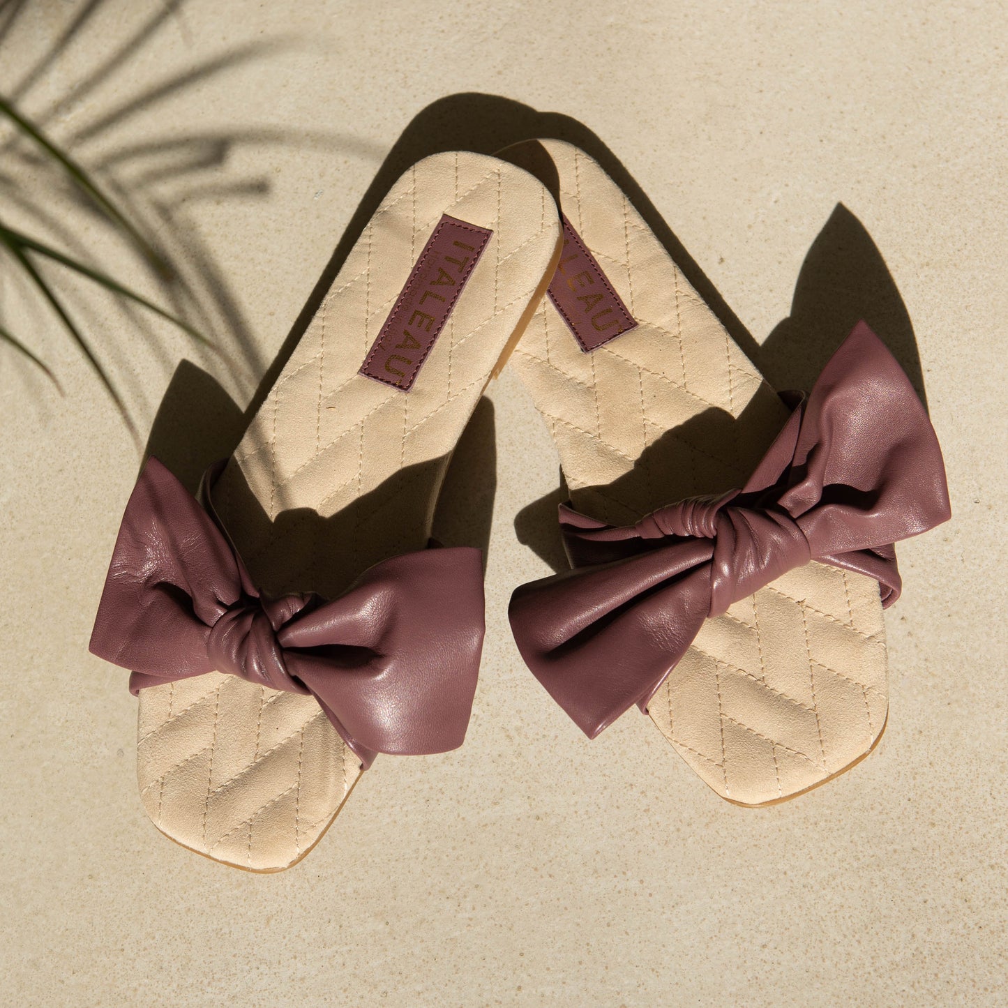 Dona Slides Wine - Last Chance